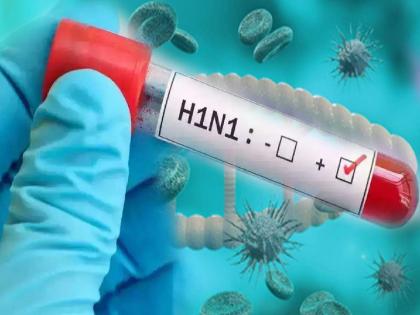 Child infected with swine flu in Miraj East area Sangli, excitement in the area | Sangli: मिरज पूर्व भागात बालकाला 'स्वाइन फ्ल्यू'ची लागण, परिसरात खळबळ