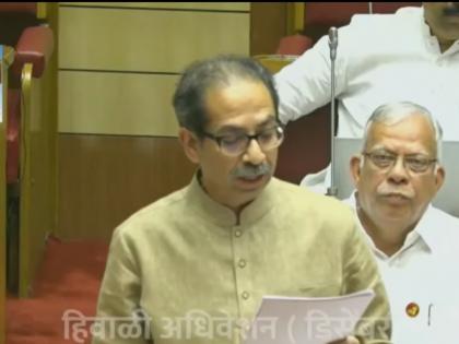 Maharashtra Winter Session: Belgaum, Karwar, Nipani disputed areas should be centralised, Uddhav Thackeray's demand in Legislative Council | Maharashtra Winter Session: ...तोपर्यंत सीमाभाग केंद्रशासित करा; उद्धव ठाकरेंची विधान परिषदेत मागणी 