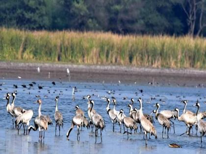 Let's keep our Nandurmadhyameshwar Ramsar Sanctuary plastic free; Prime Minister Narendra Modi gave a 'live' message | आपले नांदुरमध्यमेश्वर रामसर अभयारण्य प्लॅस्टिकमुक्त ठेवूया; पंतप्रधान नरेंद्र मोदींनी दिला ‘लाइव्ह’ संदेश