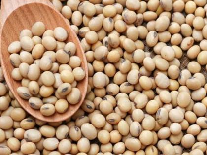 Soybean seed shortage in Washim district! | वाशिम जिल्ह्यात सोयाबिन बियाण्याचा तुटवडा!