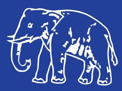 Lok Sabha Election 2019; How will the BSP's elephant walk on the fort? | Lok Sabha Election 2019; बसपाच्या हत्तीची गडावर कशी असेल चाल?