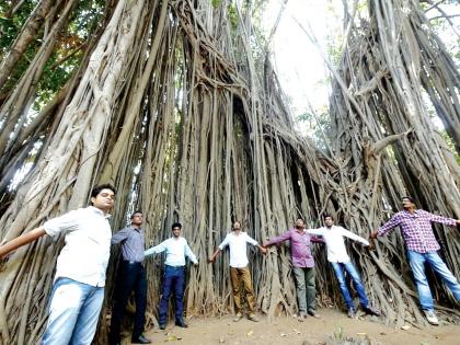 Give those who throw cauldron on trees | वृक्षांवर वक्रदृष्टी टाकणाऱ्यांना द्या सजा