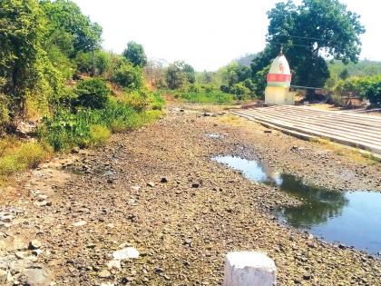 River in Chirav village is dry; The animals with grassroot animals are thirsty | चिरव गावातील नदी पडली कोरडी; ग्रामस्थांसह जनावरे तहानलेली