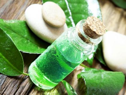 Know what is tea tree oil? what is benefits for beauty | त्वचेच्या समस्या असतील अनेक, पण उपाय एक टी ट्री ऑइल! 