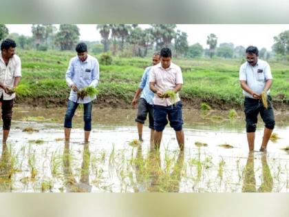 The district collector went to the field and planted paddy | भर पावसात जिल्हाधिकाऱ्यांनी केली शेतात जाऊन धानाची रोवणी