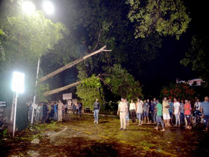 52 tree falls down due to heavy rain in pune | परतीचा पाऊस झाडांच्या 'मुळावर' ; पुण्यात 52 झाडे जमीनदाेस्त