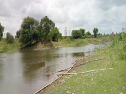 pune news Water level in Tarangwadi lake low; Crops and orchards spread over three hundred acres are in danger | तरंगवाडी तलावातील पाणी कमी; तीनशे एकर क्षेत्रावरील पिके आणि फळबागा आल्या धोक्यात