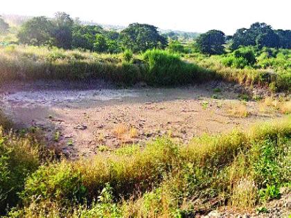 Due to rainy season, the pond clears, the forest department is accused of constructing a wrong place | पावसाळा संपताच तलाव कोरडा, वनविभागाने चुकीच्या ठिकाणी बांधकाम केल्याचा आरोप