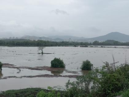 Hundreds of acres of paddy land under water due to negligence of contractors in Bhiwandi | भिवंडीत ठेकेदारांच्या हलगर्जीपणामुळे शेकडो एकर भात जमीन पाण्याखाली 