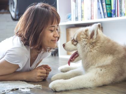 Talk to yourself and pets mind will be calm know the benefits | स्वत:शी आणि पाळीव प्राण्यांशी बोलणारी माणसं वेडी नसतात भाऊ; हे वाचून व्हाल चकित