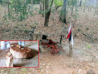 Devotees offer tobacco to the goddess to fulfill their wishes; a custom at Redielpu shrine in Sironcha taluka of Gadchiroli | ऐकावं ते नवलच... मनोकामनापूर्तीसाठी चक्क देवीलाच भाविक अर्पण करतात तंबाखू!