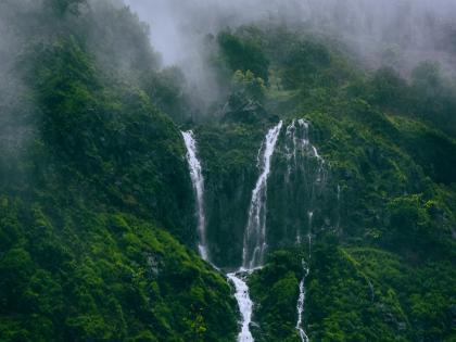 Tourists beware 300 to 500 mm rain in Tamhini Ghat landslides occurred in some areas | Tamhini Ghat: पर्यटकांनो काळजी घ्या! ताम्हिणी घाटात ३०० ते ५०० मिमी पाऊस, काही भागात दरडी कोसळल्या