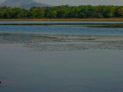 Only 27 days of water storage in the reservoirs that supply water to Mumbai, rains only after 7th July | मुंबईला पाणीपुरवठा करणाऱ्या तलावांत २७ दिवसांचाच पाणीसाठा, ७ जुलैनंतरच पाऊस