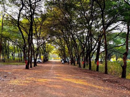 तपोवनातील वृक्षतोडीला १५ जानेवारीपर्यंत स्थगिती, हरितपट्टा उद्ध्वस्त होणार कि संरक्षित राहणार? याकडे नाशिककरांचे लक्ष