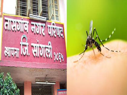 People are dissatisfied with the development work of the ruling party in Tasgaon municipality | शहरामध्ये संपेनात डास आणि म्हणे तासगावचा झाला विकास!