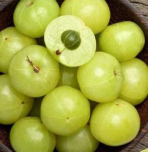 हिवाळ्यात रोज ‘असा’ खा ताजाताजा आवळा, वर्षभर एक आजार होणार नाही, तूरट चवही आवडू लागेल