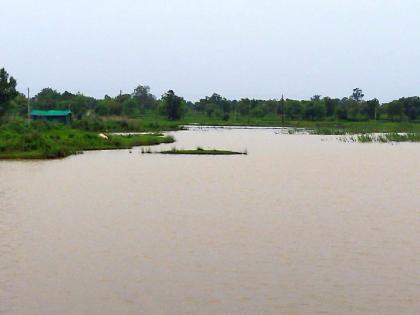 Paddy farm of 25 acres submerged in the backwaters of Mama Lake, Farmers of Chikna village are in trouble | मामा तलावाच्या बॅकवॉटरमध्ये बुडाली २५ एकरांतील धान शेती