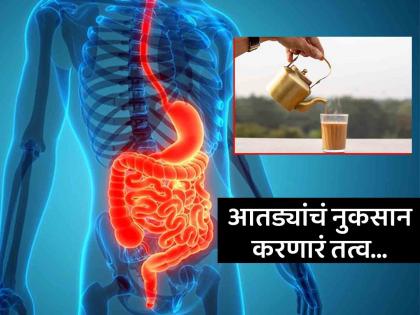 Nutritionist told harmful effect of tannins in tea and how to prevent it | कॅफीनपेक्षाही घातक असतं चहामधील 'हे' तत्व, आतड्यांचं होईल मोठं नुकसान; जाणून घ्या उपाय...