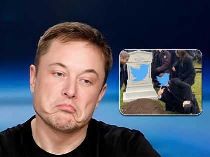 twitter-going-to-shut-down-elon-musk-trolled-by-inrnet-users | Goodbye Twitter 'ट्विटरची कबर' व्हायरल...सोशल मीडियावर 'मिम्स' चा पाऊस