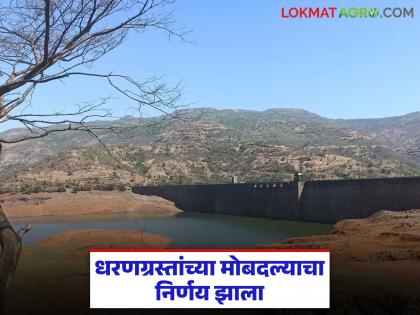 Project-affected farmers of 'this' dam in Pune district will get compensation within eight days | पुणे जिल्ह्यातील 'या' धरणातील प्रकल्पग्रस्त शेतकऱ्यांना आठ दिवसांत मिळणार मोबदला Project-affected farmers of 'this' dam in Pune district will get compensation within eight days | पुणे जिल्ह्यातील 'या' धरणातील प्रकल्पग्रस्त शेतकऱ्यांना आठ दिवसांत मिळणार मोबदला