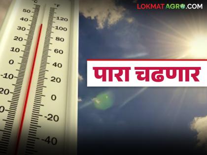 Maharashtra Weather Update : Weather likely to change by the end of February; Will temperatures increase? | Maharashtra Weather Update : फेब्रुवारी अखेर हवामानात बदल होण्याची शक्यता; तापमानात वाढ होणार? Maharashtra Weather Update : Weather likely to change by the end of February; Will temperatures increase? | Maharashtra Weather Update : फेब्रुवारी अखेर हवामानात बदल होण्याची शक्यता; तापमानात वाढ होणार?