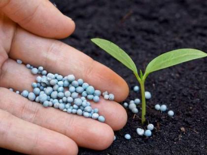 Ten rules of Fertilizer Use for Crops | पिकांसाठी खत वापराची दशसूत्री