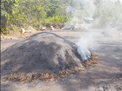 Forest department raids on coal furnaces in Terav, case registered against three | Ratnagiri: टेरव येथील कोळसा भट्ट्यांवर वन विभागाच्या धाडी, तिघांवर गुन्हा दाखल