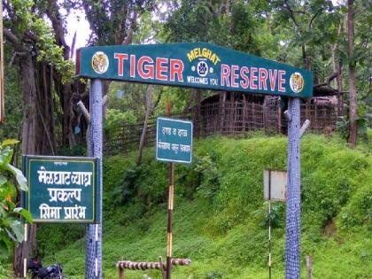 Alert in tiger reserve in wake of 'Lampy' Virus; a close eye on dogs in nearby villages to avoid infection | ‘लम्पी’च्या पार्श्वभूमीवर व्याघ्र प्रकल्पात अलर्ट; संसर्ग टाळण्यासाठी लगतच्या खेड्यातील श्वानांवर करडी नजर