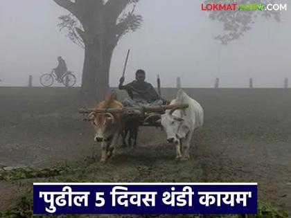 Latest news next 5 days will be cold weather 'these' districts of Maharashtra will be coldest | Cold Weather : पुढील 5 दिवस थंडीचे, महाराष्ट्रातील 'या' जिल्ह्यांत सर्वाधिक थंडी असणार Latest news next 5 days will be cold weather 'these' districts of Maharashtra will be coldest | Cold Weather : पुढील 5 दिवस थंडीचे, महाराष्ट्रातील 'या' जिल्ह्यांत सर्वाधिक थंडी असणार