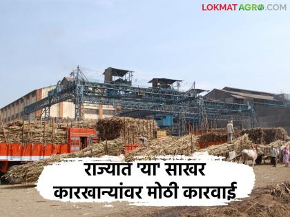 Farmers will get the outstanding FRP money with interest; Government decision to take action against factories issued | शेतकऱ्यांना थकीत एफआरपीचे पैसे व्याजासहीत मिळणार; कारखान्यांवर कारवाईचा शासन निर्णय जारी Farmers will get the outstanding FRP money with interest; Government decision to take action against factories issued | शेतकऱ्यांना थकीत एफआरपीचे पैसे व्याजासहीत मिळणार; कारखान्यांवर कारवाईचा शासन निर्णय जारी