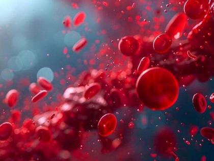 Have you checked your thalassemia status? | तुम्ही तुमचे थॅलेसेमिया स्टेटस तपासले का? Have you checked your thalassemia status? | तुम्ही तुमचे थॅलेसेमिया स्टेटस तपासले का?