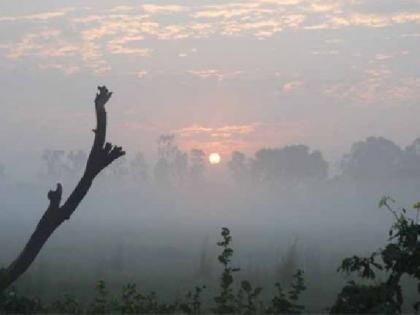 nagpur records coldest day of the season with 12.4 degree celsius | हुडहुडी वाढली : नागपुरात तापमान १२.४ अंश, आतापर्यंतचा सर्वात थंड दिवस