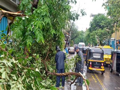 in thane heavy rain for the second day in a row fall of trees damage to vehicles | सलग दुसऱ्या दिवशी पावसाची संततधार; वृक्षांची पडझड, वाहनांचे नुकसान 