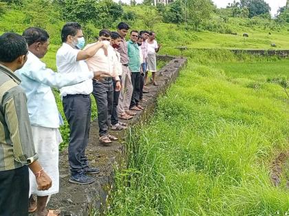 measures to eradicate the infestation of larvae on the paddy crop in Thane district by flocks of birds | ठाणे जिल्ह्यातील भात पिकावरील आळी- खोडकीड्याचा प्रादुर्भाव पक्षांच्या थव्यांकडून नष्ट करण्याचा उपाय!