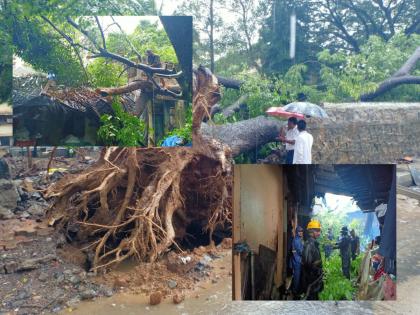 Rain In Thane: Heavy rains battered Thane, trees fell, walls collapsed, huge financial loss | Rain In Thane: ठाणे शहरात पावसाची जोरदार बॅटिंग, झाडे पडली, भिंती कोसळल्या, मोठ्या प्रमाणात वित्तहानी