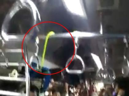 mumbai local disrupted after snake found in titwala csmt local | Video: सापाने केला लोकल प्रवास, प्रवाशांची उडाली पळापळ