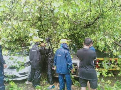 Heavy damage to Electric DP along with two vehicles due to falling pimpal tree in Thane  | ठाण्यात पिंपळाचे झाड पडून दोन वाहनांसह इलेक्ट्रिक डीपीचे मोठे नुकसान 