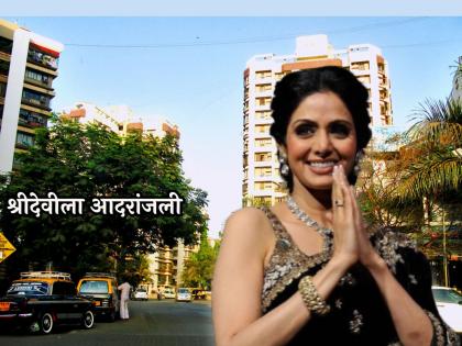 The Chowk in Andheri Lokhandwala Complex is named after Sridevi kapoor | 'चाँदनी'ला अनोखी आदरांजली! अंधेरी लोखंडवाला कॉम्प्लेक्समधील चौकाला श्रीदेवीचं नाव