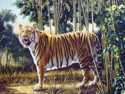 Optical illusion : There are two tigers in this picture do you see the other | Optical Illusion: या फोटोत आहेत दोन वाघ, तुम्हाला दुसरा दिसला का? भलेभले शोधून थकले...