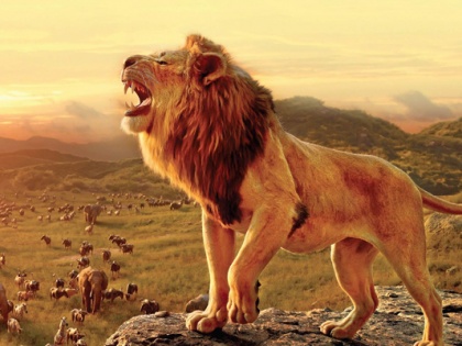 the lion king director jon favreau reveal the only real scene in film on twitter |  ‘द लायन किंग’मध्ये आहे एकमेव ‘रिअल सीन’, जाणून घ्या कोणता?
