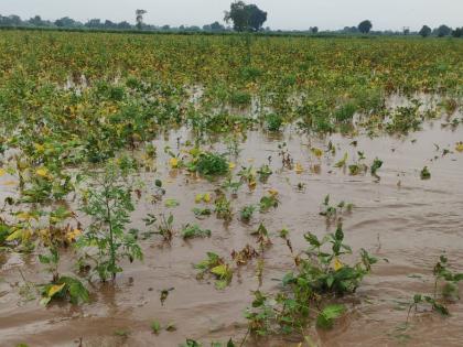 The rain brought tears to the eyes again! | पावसाने पुन्हा आणले डोळ्यांत पाणी!