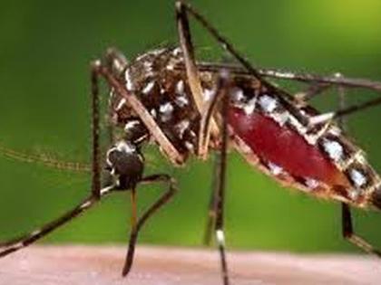 Be careful! The risk of dengue is increasing again in the district | सावधान! जिल्ह्यात पुन्हा वाढतोय डेंग्यूचा धोका