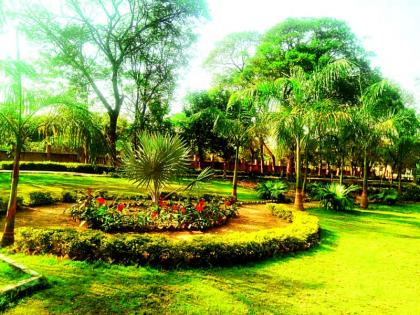 Gardens are being developed on the theme park in Nagpur | नागपुरात थीम पार्कच्या धर्तीवर बगिच्यांचा होतोय विकास 