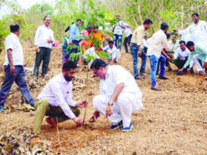 Nine thousand plantations in lieu of three thousand flowering plants | तीन हजार वृक्षकत्तलीच्या बदल्यात नऊ हजार वृक्षारोपण Nine thousand plantations in lieu of three thousand flowering plants | तीन हजार वृक्षकत्तलीच्या बदल्यात नऊ हजार वृक्षारोपण