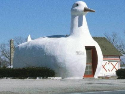 घर असावे हटके नकोत नुसत्या भिंती, जिथे दिसावे प्राणी अन् पक्षी