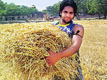एकेकाळी या स्टार्सनी गाजवलं IPL मैदान; आता कुठेत ते?