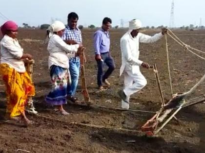 District Agriculture Superintendent started sowing | जिल्हा कृषी अधीक्षकांनी तिफण चालवून केला पेरणीचा श्रीगणेशा!