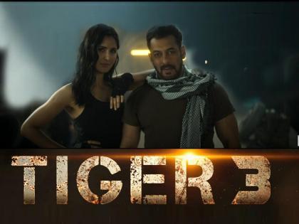 tiger 3 salman khan katrina kaif movie will earn around 40cr on frist day box office collection | Tiger 3: सलमानच्या 'टायगर ३'चा बॉक्स ऑफिसवर धमाका; पहिल्याच दिवशी करणार बंपर कमाई, कलेक्शनचे आकडे समोर