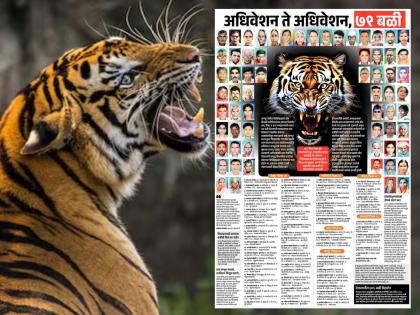 Nagpur: वाघांना माणूस खाऊ घालणारी ही कसली वनपर्यटनाची नीती? दहशतीत जगणाऱ्या विदर्भातील माणसांचा सवाल