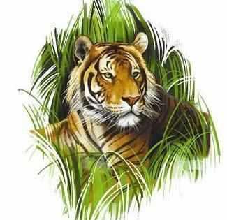 The District Tiger conservation committee not take meeting | जिल्हा व्याघ्र समितीच्या बैठकांना तिलांजली